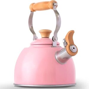 fun color kettles rockurwok pink kettle